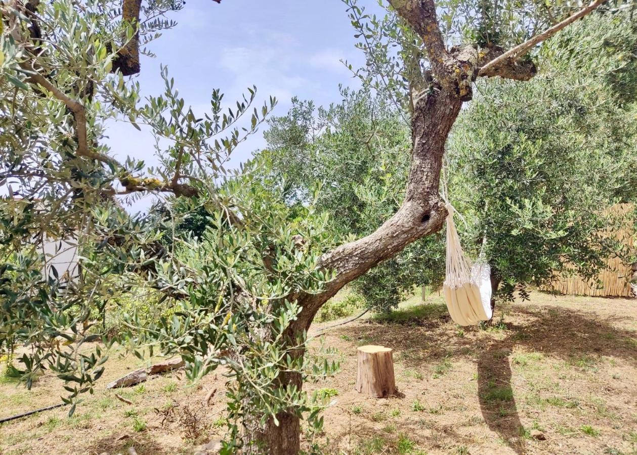 مبيت وإفطار SantʼAgata sui Due Golfi Nostos Casale المظهر الخارجي الصورة